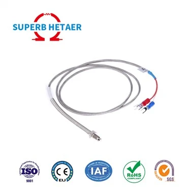 Termokoppja PTFE personalizzata mhux standard bil-kamin Reżisturi termali PT100 / PT1000